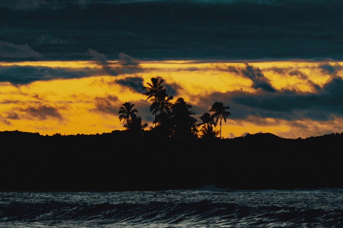 Palmen im Sonnenuntergang am Strand auf Hawaii